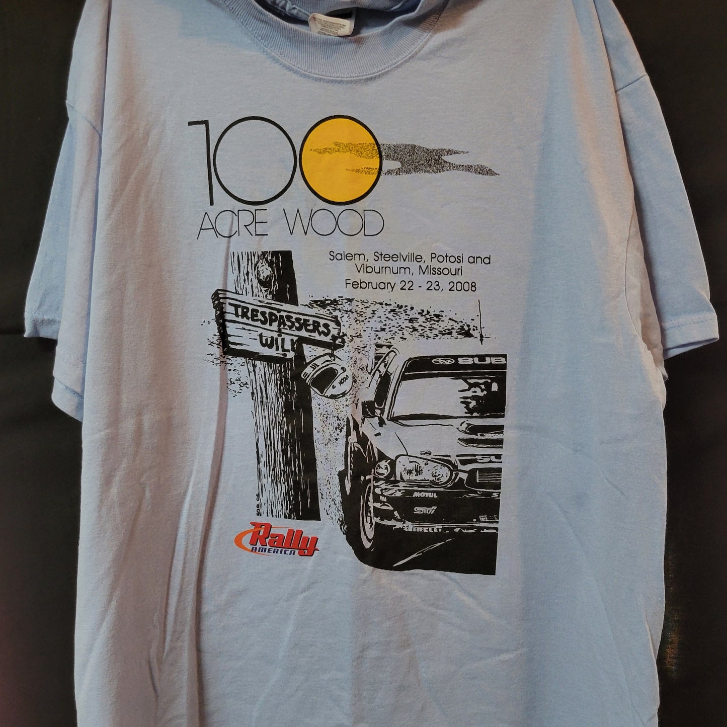 Vintage Short-Sleeved 2008 100 Acre Wood T-Shirt