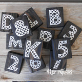 Blocks of wood painted with checkered letters and numbers.
